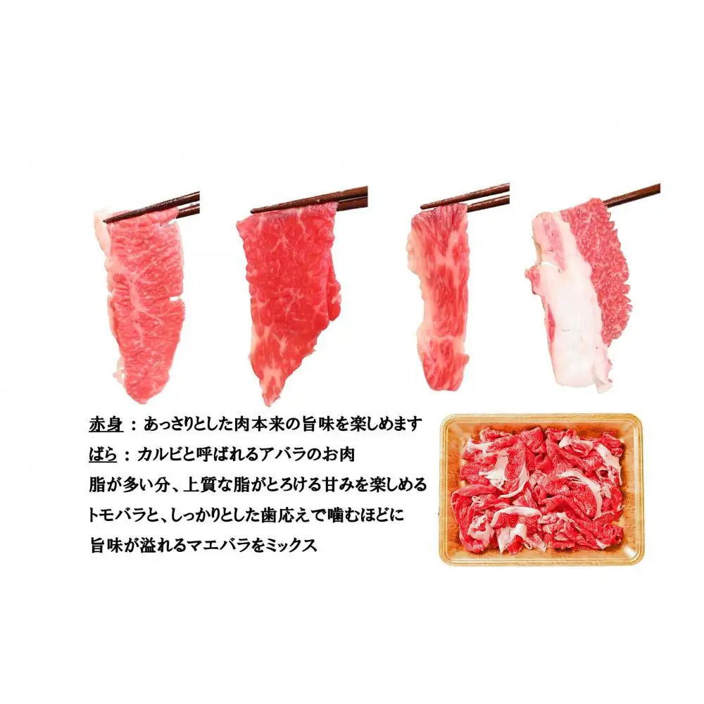 一頭買い 神戸牛 訳あり 切り落とし1kg（500g×2パック）【神戸キングミート】