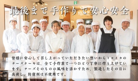 チーズケーキ トロイカチーズケーキ | 5号  D0493