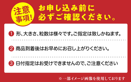 【★先行予約 2027年2月より発送】〈幻のいちご〉綾美姫2パック / いちご[AFCC001]