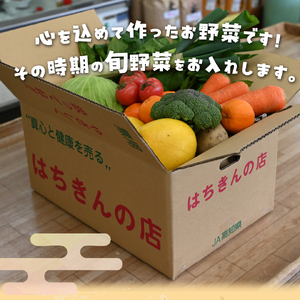 【ふるさと納税】＜年4回 定期便はちきんの店 野菜 セット 7~10品＞ 野菜詰め合わせ 詰合せ 高知の野菜 旬の野菜【冷蔵】高知県 佐川町