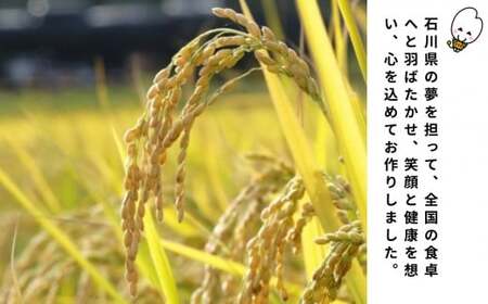 ゆめみづほ 5kg 令和7年産