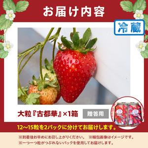 【2027年1月上旬～2月下旬発送】贈答用いちご【数量限定】『古都華』 いちご 数量限定 古都華 12～15粒 化粧箱 国産 国産苺 ストロベリー 果物 果実的野菜 フルーツ デザート おやつ 糖度 濃厚 香り 鮮やか 甘い ビタミン 奈良県産 お取り寄せ 贈答用 送料無料