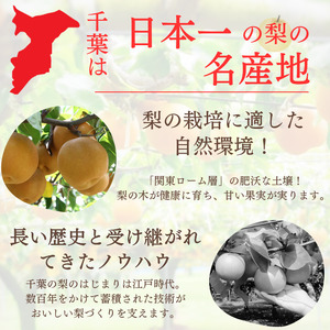 【2026年産】船橋のなし「幸水」（い志い農園）