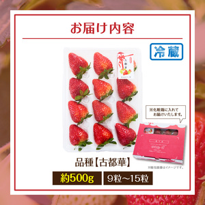【2027年1月～3月上旬発送】「古都華」化粧箱入りいちご 甘みと酸味のバランスが抜群 古都華 いちご 1パック 9~15粒 化粧箱 生駒いちご園 果物 フルーツ デザート 贈り物 お取り寄せ お取り寄せフルーツ 奈良県 生駒市 送料無料