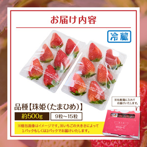 【2027年1月～3月上旬発送】化粧箱入りいちご【珠姫】 酸味が少なくやさしい甘み 珠姫 いちご 2パック 9~15粒 化粧箱 卵型 粒が大きい 生駒いちご園 果物 フルーツ デザート 贈り物 お取り寄せ お取り寄せフルーツ 奈良県 生駒市 送料無料