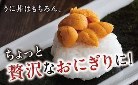 塩水ウニ 500g (100g×5個) 生うに ウニ 雲丹 ムラサキウニ バフンウニ 生鮮 無添加 魚介類 塩水 生食 北海道 松前町 送料無料 MATM002