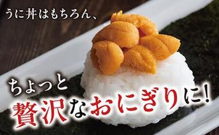 塩水ウニ 100g (100g×1個) 生うに ウニ 雲丹 ムラサキウニ バフンウニ 生鮮 無添加 魚介類 塩水 生食 北海道 松前町 送料無料 MATM007