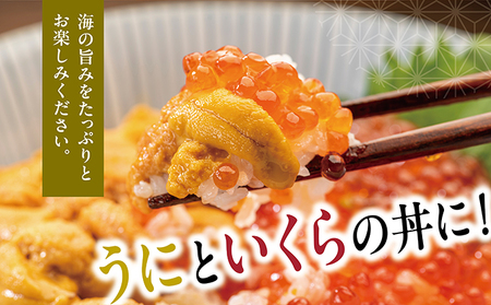 うに一夜漬　60ｇ・いくら醤油漬　60ｇのセット MATK028