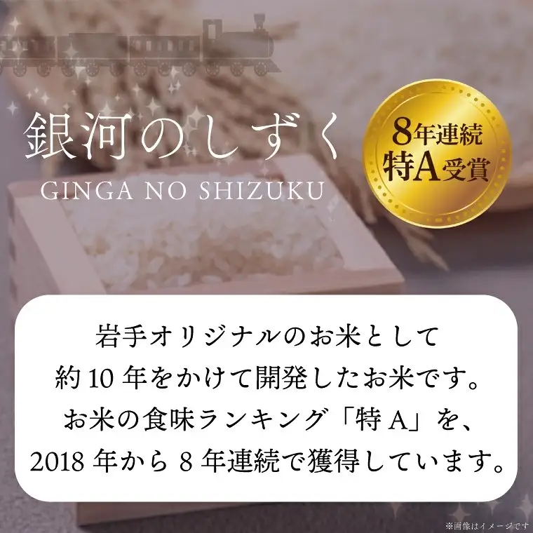 【定期便 2ヶ月】 無洗米 令和7年産 銀河のしずく10kg AE195 無洗