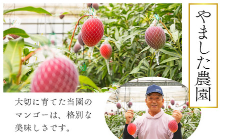 ＜先行予約＞宮崎完熟マンゴー スライス カット 400g×2パック 計800g（2Lサイズ約３～４個分）_K005-001