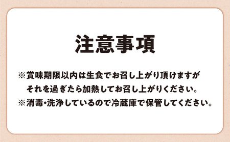 【 ご家庭用 】 HARUYA FARM の モリンガ卵 「 島のちっちゅ 」 W065-001-02 鶏 卵