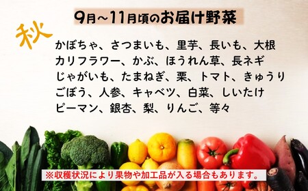  旬の野菜セット A 《 6品 以上 》 (くろいわ産直)  黒岩産 野菜 セット 岩手県 北上市 B0381