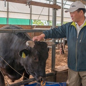 【5ヶ月/ 定期便 】きたかみ牛 牛肉 贅沢コース A5 A4 人気 肉 牛ロース 上カルビ モモ カタ バラ すき焼き 焼肉 BBQ お歳暮 忘年会 贈答用 カルビ 岩手県 北上市 P0022 （お肉のたかゆう）