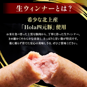 四元豚 生ウインナー 450g 6本入り×3P GIFTON お歳暮 お中元 ギフト プレゼント 母の日 父の日 誕生日 お祝い 卒業祝い 入学祝い バーベキュー BBQ 焼肉 ファミリー パーティー 子供会 料理 おつまみ 晩酌 お弁当 冷凍 ソーセージ ポークウインナー 豚 ウインナー 粗びきウインナー 粗挽きウインナー 岩手県 北上市 ごえん 株式会社 B0265 