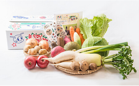 変顔 おもしろシール付き！  野菜キライな子供も喜ぶ！？ 北上 野菜セット 季節 旬 野菜 詰め合せ 国産 季節 旬 おまかせ 産地直送 春野菜 夏野菜 秋野菜 きのこ 葉物 果物 果菜 根菜 冷蔵 野菜室 ダイエット 食 栄養食 カット野菜 岩手県産 北上産 季節限定 山菜 ブロッコリー たまねぎ さつまいも とうもろこし サラダ トマト しいたけ 送料無料 岩手県 北上市 E0229 P＆Cリンク