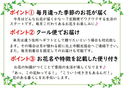 【定期便 / 3ヶ月】季節の花束 岩手県 北上市G0084 ( パルテール )