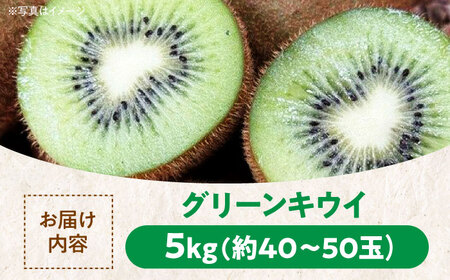 キウイフルーツ 5kg キウイフルーツ[AGBC007]