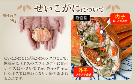 【訳あり】釜茹で　蟹好き集まれ！越前産せいこがに【甲羅盛70g前後 ３個セット】 [A-096016] 【トライアル返礼品】/ せいこがに