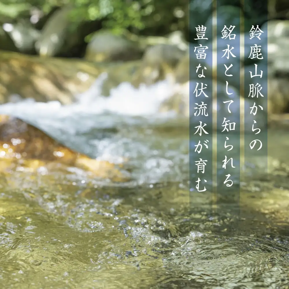 お抹茶　泗翠（30g×3缶セット）萩村製茶【 抹茶 お抹茶 お茶 茶 伊勢茶 茶道 飲料 自分用 家族用 イベント用 ギフト プレゼント 贈答 贈答用 三重県 三重 四日市市 四日市 四日市市ふるさと納税 四日市ふるさと納税】