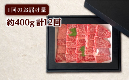 【全12回定期便】長崎和牛 焼肉用 ロース 約400g 牛肉[RCJ018] 長崎和牛 ロース 焼肉 長崎和牛 ロース 焼肉九州 長崎