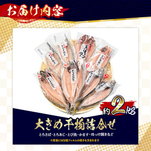 干物 大きめ 約2kg 詰め合わせ 干物【みのだ食品】No.406-A