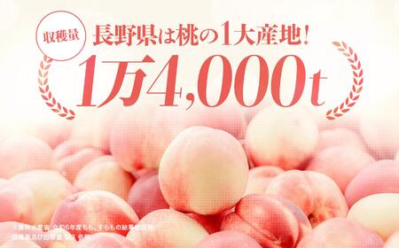【2026年先行受付】 桃 約3kg （ 9 ～ 10 玉 ）【8月上旬～8月中旬にかけて順次発送予定】 