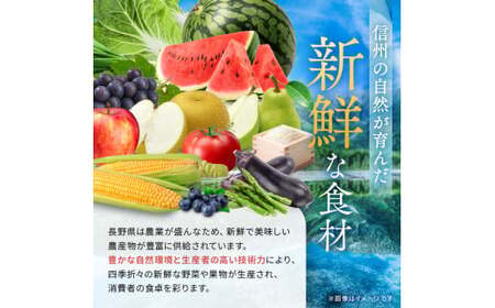 おまかせ野菜セット 2?3人分 約 5kg | 野菜 やさい 旬 の 野菜 長野県 塩尻市