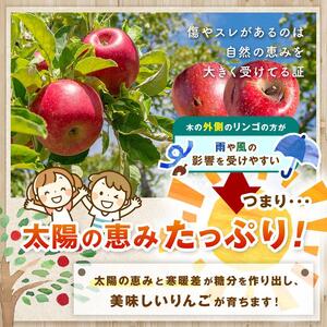 【2026年先行予約】信州産 塩尻エールりんご！ 農家さん応援♪♪ 約5kg シナノスイート 約5kg（16～20玉）【10月上旬以降発送予定】訳あり