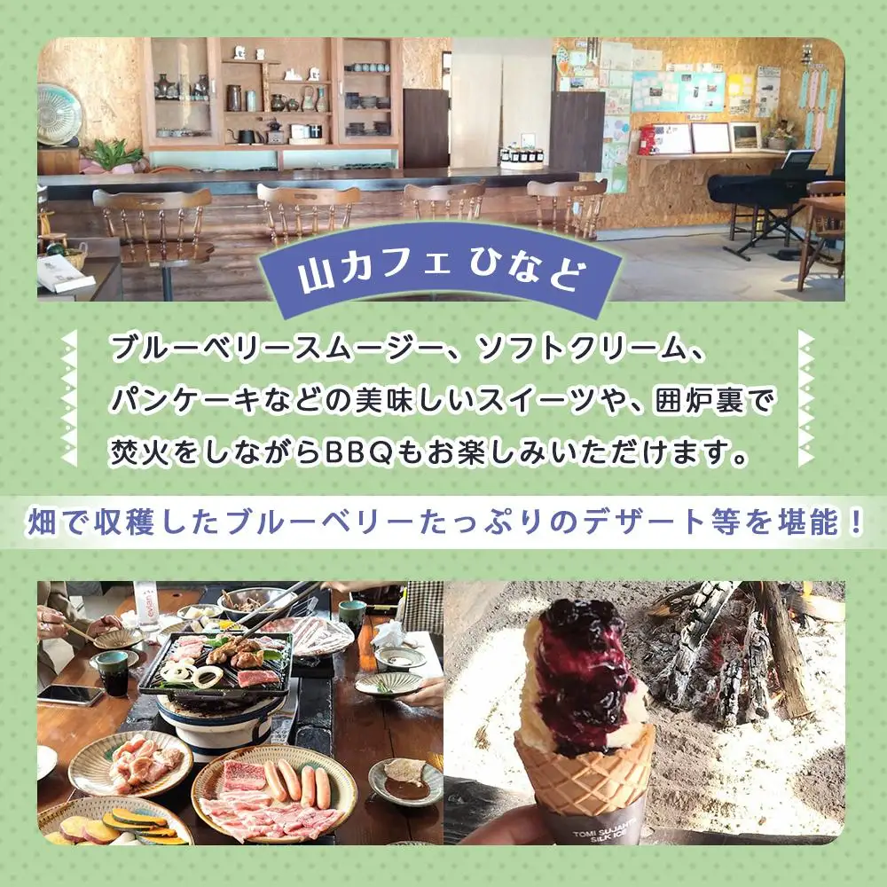 【湯布院 熊谷牧場・雛戸】施設内なんでも使える！ブルーベリー・キャンプガーデン ご利用補助券 6,000円分