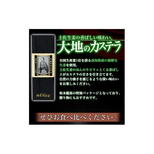 【 カステラ 】 カステラ醤油付き