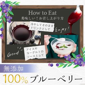 ブルーベリー原液　300ml×2本詰
