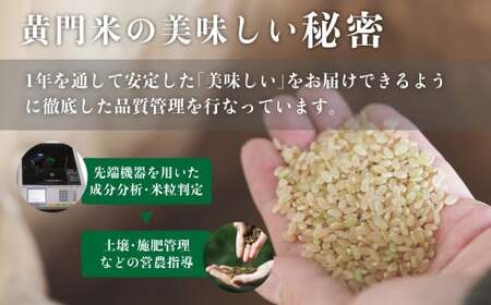 コシヒカリ 3カ月定期便 黄門米 コシヒカリ 白米 5kg