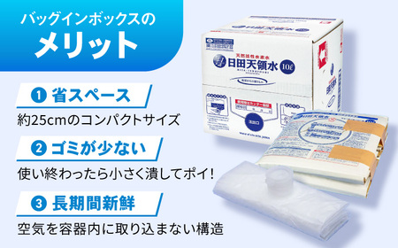 【全2回定期便】日田天領水 10L×1箱 天然水 備蓄 防災 ミネラルウォーター シリカ [AREG015]