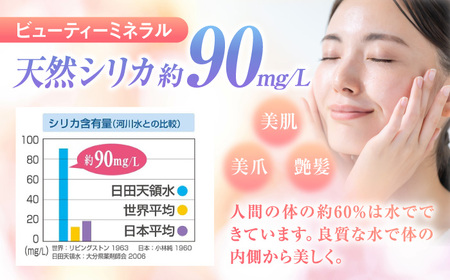 【全6回定期便】日田天領水 2L×10本 天然水 備蓄 防災 ミネラルウォーター シリカ [AREG027]