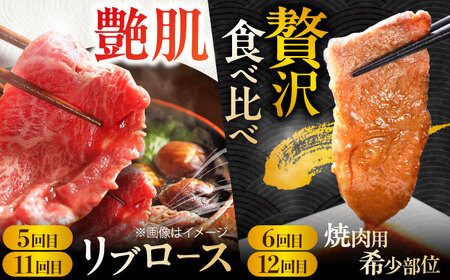 【全12回定期便】A4 A5  佐賀牛 ＜総量7.8kg！＞シルバーコース [FAY039]
