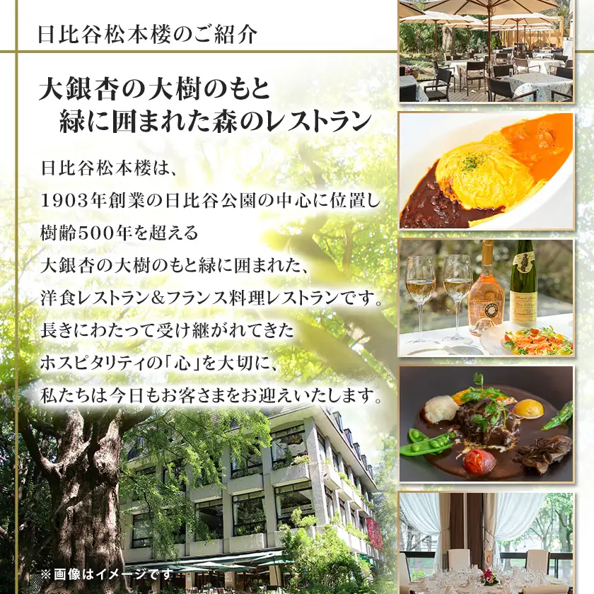日比谷松本楼ハイカラカレー4種セット_惣菜・加工品 カレー  _【1539907】