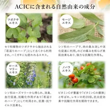 ACIC(アシック)～ナチュラル歯磨き粉　3本_雑貨・日用品  日用品 _【1543289】