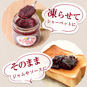 【A55020】ソルベ詰合せ(130g×6個) 国産 鹿児島 フルーツ 果物 ジャム 加工品 手作り ソルベ デザート ランダム 冷蔵 【えこふぁーむ】