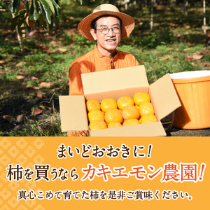 柿 カキエモン農園の紀の川柿 約5kg 18個前後 【2026年10月中旬～11月下旬頃順次発送】/ 果物 くだもの フルーツ 柿 かき 和歌山 人気 送料無料【BX001-kkem001A】