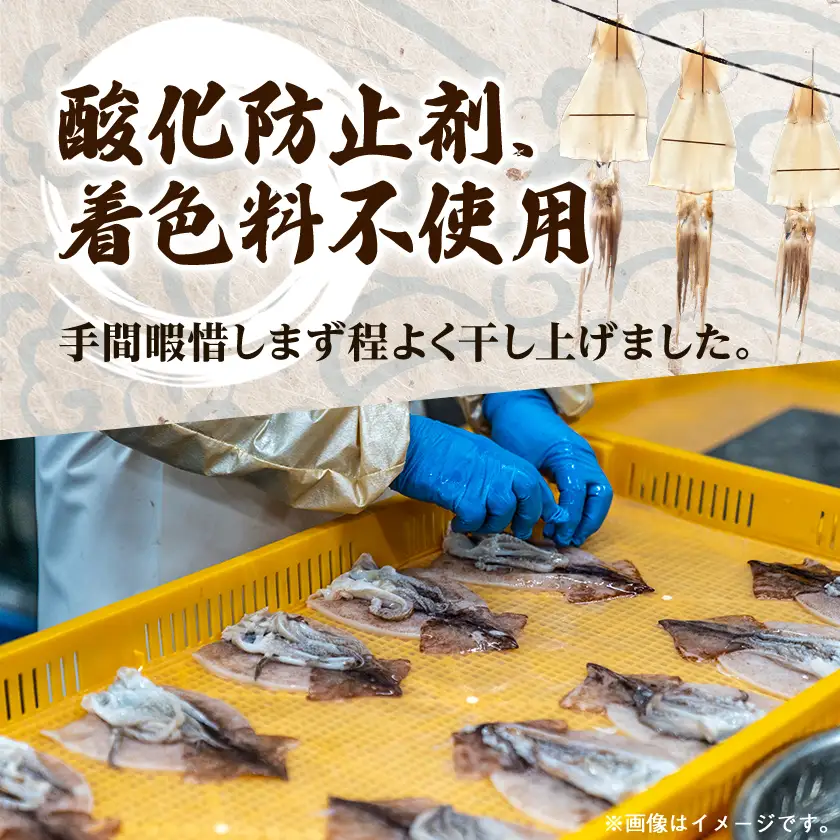 【訳あり】岩手県宮古市産スルメイカの一夜干し　5枚セット_魚介・海産物 イカ  いか 烏賊_【配送不可地域：離島】【1527275】