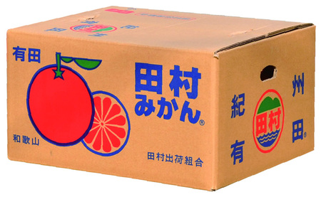 V7450_【2026年先行予約】田村みかん／5kg青秀／サイズ指定なし