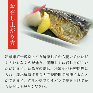 訳あり 塩 サバ フィーレ1kg（10枚前後）さば 鯖 切り身 宮城県 石巻市