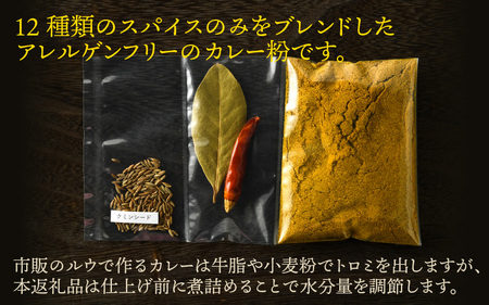 ハーブ講師が作る 教室で人気のカレースパイスセット （5食分 × 2箱） 【アレルゲンフリー】 【スパイス スパイスカレー スパイスセット カレーパウダー おうちカレー カレー粉 香辛料 セット 手作り キット 薬膳カレー スープカレー ギフト】 [A-13004]