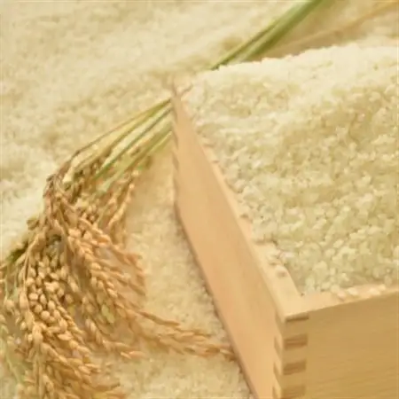 【令和7年産米】特A評価　ふっくら大粒　千葉県いすみ市産粒すけ　精米5kg_ 精米 米 _【1546628】