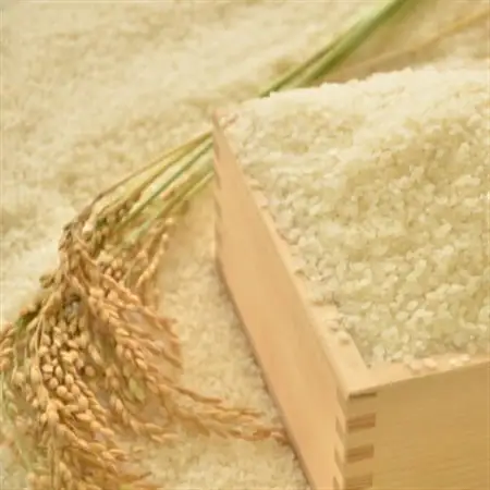 【令和7年産米】　千葉県いすみ市産　コシヒカリ精米10kg(5kg×2袋)_ 精米 米    コシヒカリ 米 こしひかり_【1546629】