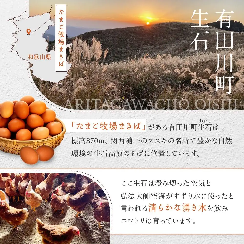 6か月定期便 おいし高原 庭さき卵 Lサイズ 20個入り 【全6回お届け】