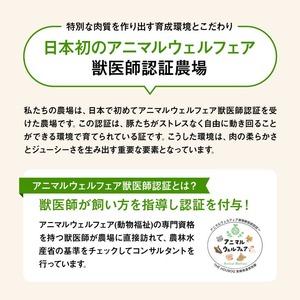 【12ヶ月定期便】宮崎県川南町産豚肉　放牧黒豚定期便 【 豚 肉 豚肉 国産 黒豚 九州産 宮崎県産 川南町 加工品 セット 送料無料 】