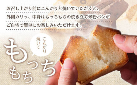 グルテンフリー 米粉パンの3種 計6本 食べ比べセット[BACW009]パン