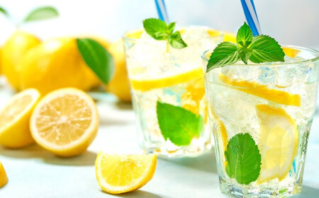 手しぼりTHEレモン 100ml×6本 [BAET003]レモン果汁