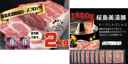 J11-0401／鹿児島県産桜島美湯豚　満腹セット　6回定期便